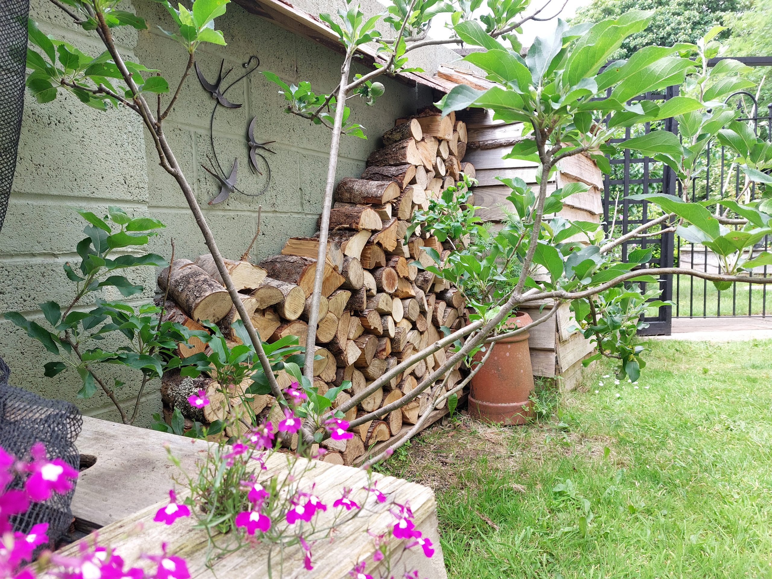 Your own private garden at The Swallows, Bishopston. Your own private garden at The Swallows, Bishopston.