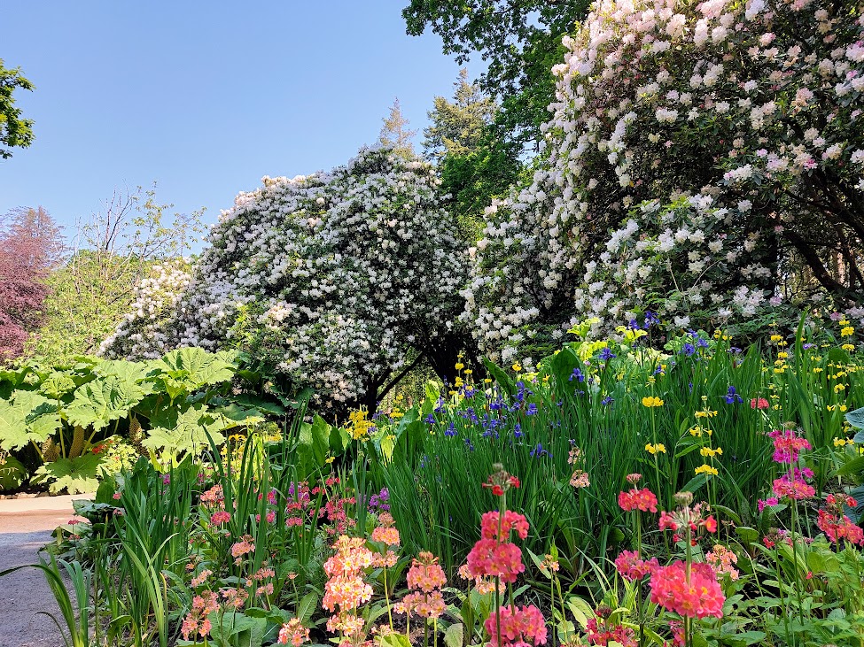 Clyne Gardens, Swansea. Just a 5 minute drive from The Swallows, Bishopston. Clyne Gardens, Swansea. Just a 5 minute drive from The Swallows, Bishopston.