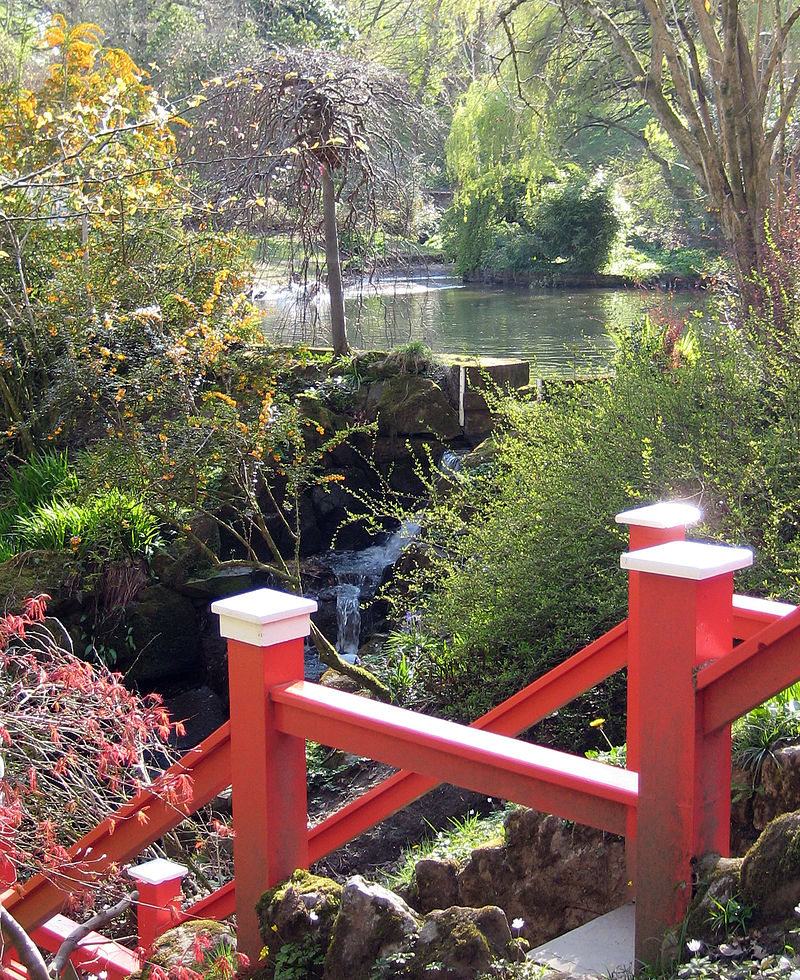 Japanese Pond, Clyne Gardens. Just a 5 minute drive from The Swallows, Bishopston. Japanese Pond, Clyne Gardens. Just a 5 minute drive from The Swallows, Bishopston.