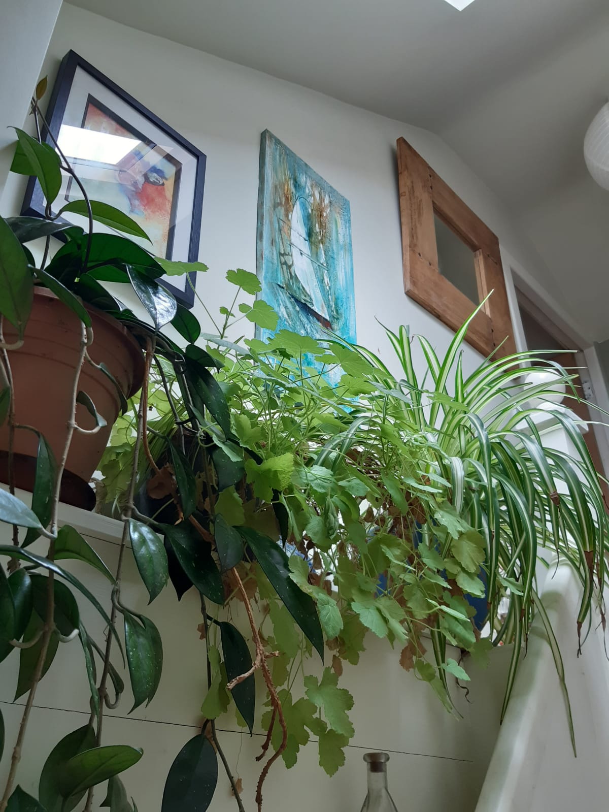 Stairs to your room at The Swallows, Bishopston. Stairs to your room at The Swallows, Bishopston.