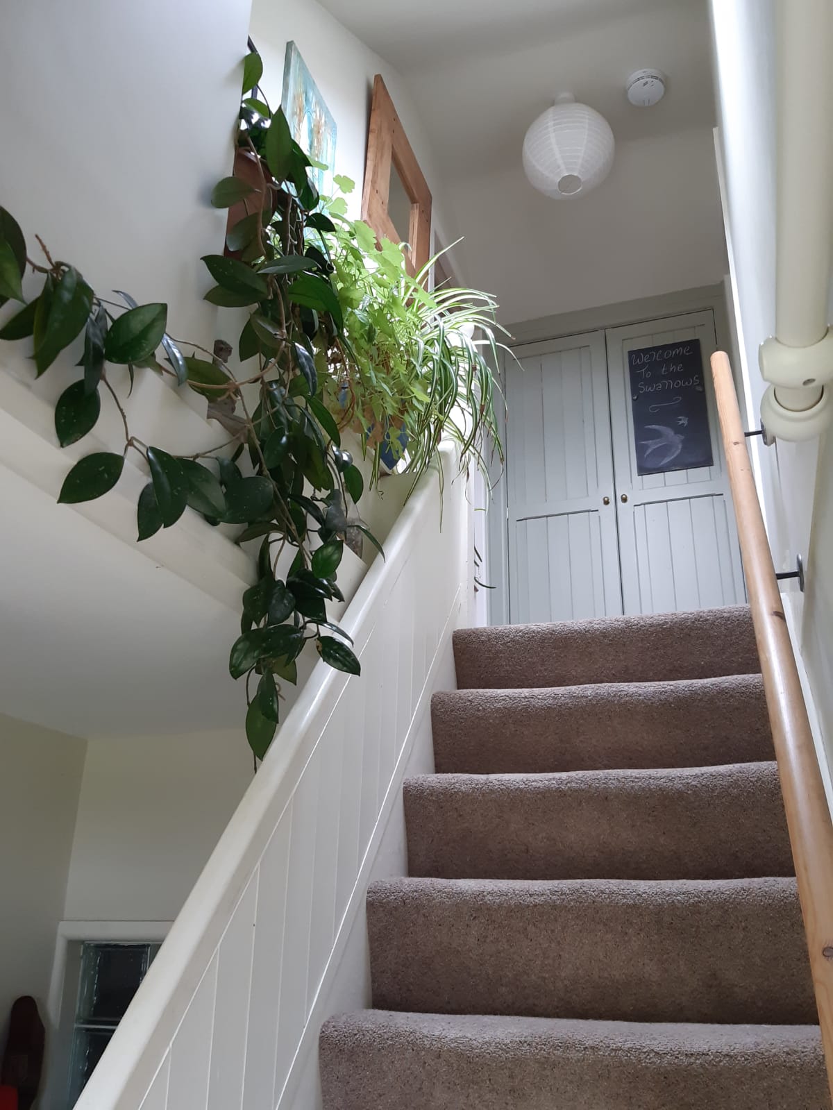 Stairs to your room at The Swallows, Bishopston. Stairs to your room at The Swallows, Bishopston.