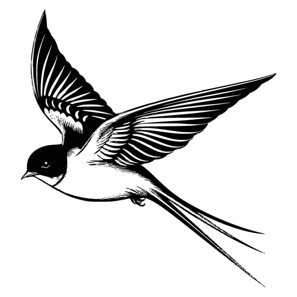 The Swallows. Accommodation in Bishopston, Swansea. A great place to explore the Gower.