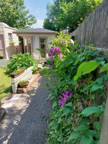 Cabin & Garden – South Side – The Swallows – Accomoodation in Bishopston – Gower – Swansea